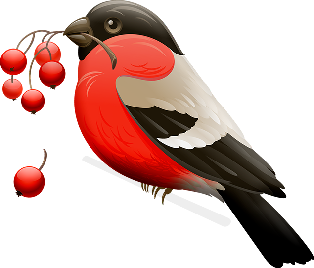 red-robin